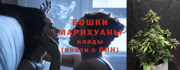 бошки Верея