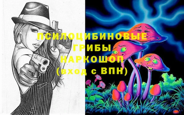 стаф Волоколамск