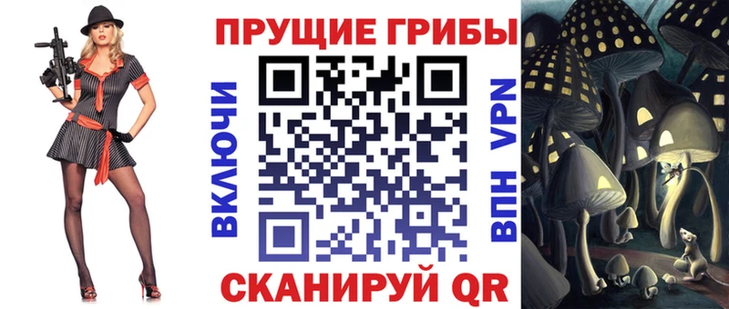 Псилоцибиновые грибы Cubensis  MEGA ONION  площадка состав  закладки  Выкса 